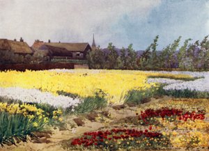 Uma Fazenda de Lâmpadas perto de Overveen (cor litho) de Mima Nixon