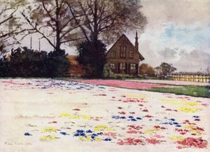 Jacintos espalhados na areia (cor litho) de Mima Nixon