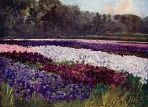 "Em tufos esmeralda, flores roxas, azuis e brancas, como safira, pérola e rico bordado" (cor litho) de Mima Nixon