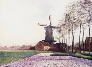 A Promessa da Primavera (cor litho)