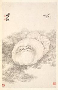 Gato e borboleta, 1788.