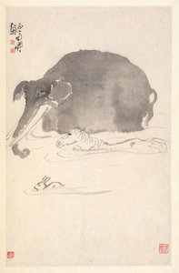 Elefante, Cavalo e Lebre