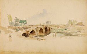 Ponte Azzani de Miner Kilbourne Kellogg
