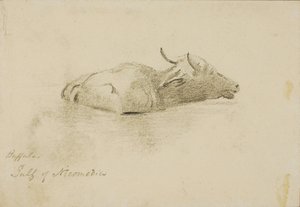 Búfalo, Golfo de Nicomédia de Miner Kilbourne Kellogg
