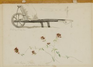 São Valery-Blow-Tomilho selvagem de Miner Kilbourne Kellogg