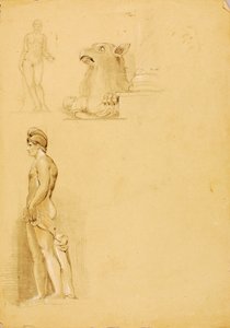 Estudos de Sculante de Miner Kilbourne Kellogg