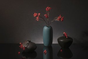  de Ming Chen