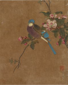 Dez fotos de pássaros e flores (cor de seda)