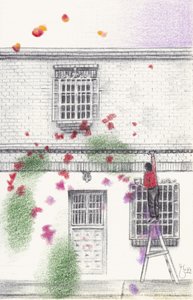 Casa das Pétalas Espalhadas de Mirjam Schrei