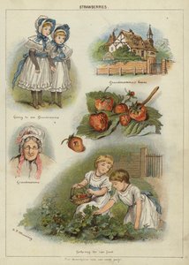 Morangos (chromolitho) de Miss Eliza F. Manning
