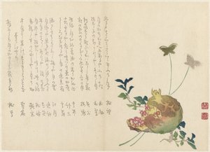 Romã de Miyake Eisai