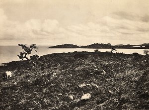 Construir um império na era fascista: O Lago Tana. Etiópia, 09/05/1936 (foto a p/b) de Modestino Baldinetti