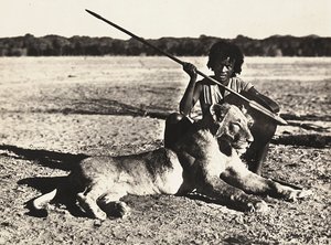 Construir um império na era fascista: exemplo de um leão, 09/05/1936 (foto a p/b) de Modestino Baldinetti
