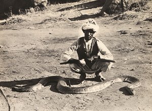 Construir um império na era fascista: indigeno com uma pitão, 09/05/1936 (foto a p/b) de Modestino Baldinetti