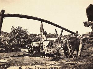 Construir um império na era fascista: os indígenas Noria, 09/05/1936 (foto a p/b) de Modestino Baldinetti