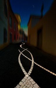 Caminho sinuoso ao luar