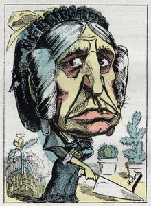 Alegoria da "madrasta" (Belle mere) em "Le Trombinoscope" de Touchatout, caricatura de B. Moloch de 1882 (1849-1909). Coleção particular. de Moloch