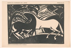 Dois cavalos