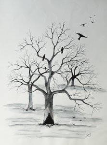 silenciosamente