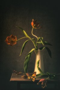 Natureza morta com tulipas melancólicas
