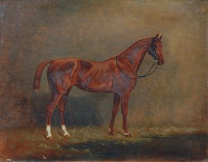Retrato de um cavalo de sela de Monogrammist A. G.