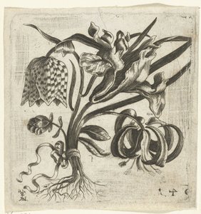 Pequeno ramo de flores de Monogrammist LRSG