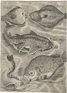 Studieblad conheceu de forma diferente Ícones de peixes ao vivo (título da série) de Monogrammist P+P