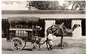 Camel Dak, c.1911-12 (foto sépia) de Moorli Dhur and Sons