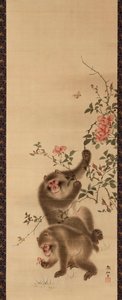 Macacos e rosas