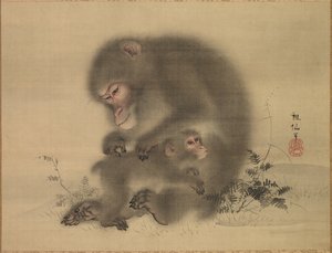 Macacos, finais do século XVIII a princípios do século XIX.