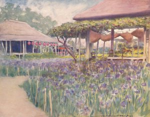 An Iris Garden