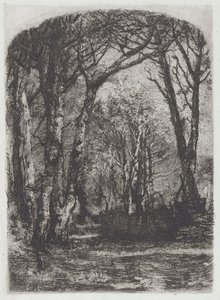 Bosque [Bosco] de Mose Bianchi