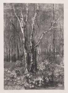 Bosques no parque perto de Monza de Mose Bianchi