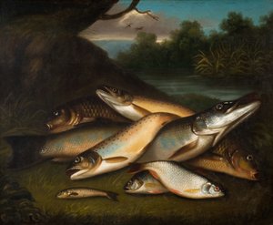 Peixe, 1790. de Moses Haughton
