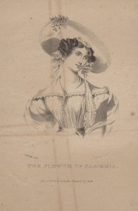 A flor de Cambria, litho por CG Childs, 1830 de Moses Swett