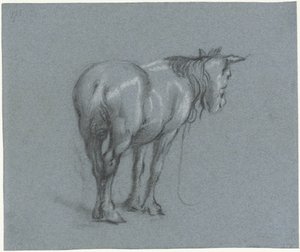 Estudo de um cavalo por trás, à direita Cavalos de batalha em pé (título da série) de Moses Ter Borch
