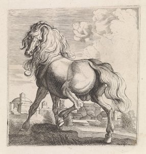 Cavalo de Moyses van Wtenbrouck (possibly)