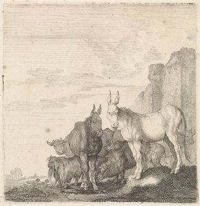 Burros perto de uma parede
Animais de quatro patas (título da série) de Moyses van Wtenbrouck