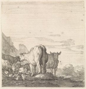 Vacas e cabras em uma paisagem com casas Animais de quatro patas (título da série) de Moyses van Wtenbrouck