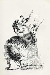 Pastor de meia raça acariciando seu mestre, de Charles Darwin "A Expressão das Emoções no Homem e Animais", 1872 de Mr. A. May