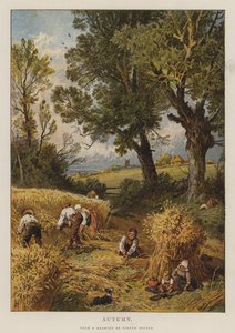 Outono (cor litho)