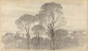 Uma paisagem noturna com árvores altas de Myles Birket Foster