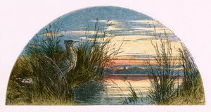 Ilustração para &39;The Deserted Village&39; de Myles Birket Foster