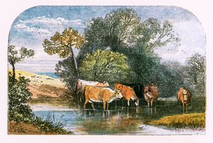 Ilustração para &39;The Deserted Village&39; de Myles Birket Foster