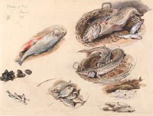 Estudo do Peixe, Veneza de Myles Birket Foster