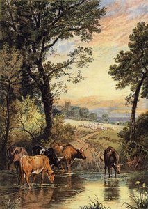 Noite de Verão de Myles Birket Foster