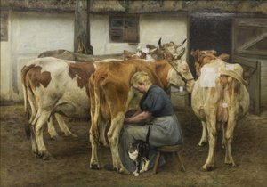 Ordenhando as Vacas. Jutlândia Ocidental de N.P. Mols