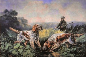 Desportos de Campo Americanos: Recuperação de N. and Ives J.M. (after) Currier