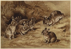 Coelhinhos de bebé (litho)