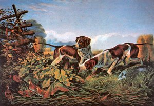 Desportos de Campo Americanos: Em um ponto de Currier and Ives
